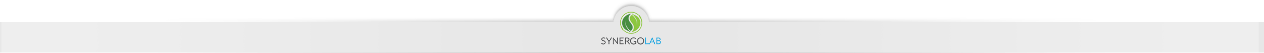 Synergo Lab